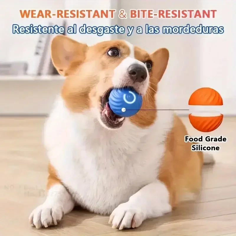 S844f1901b9de4e7ebda1069fb3a85775m